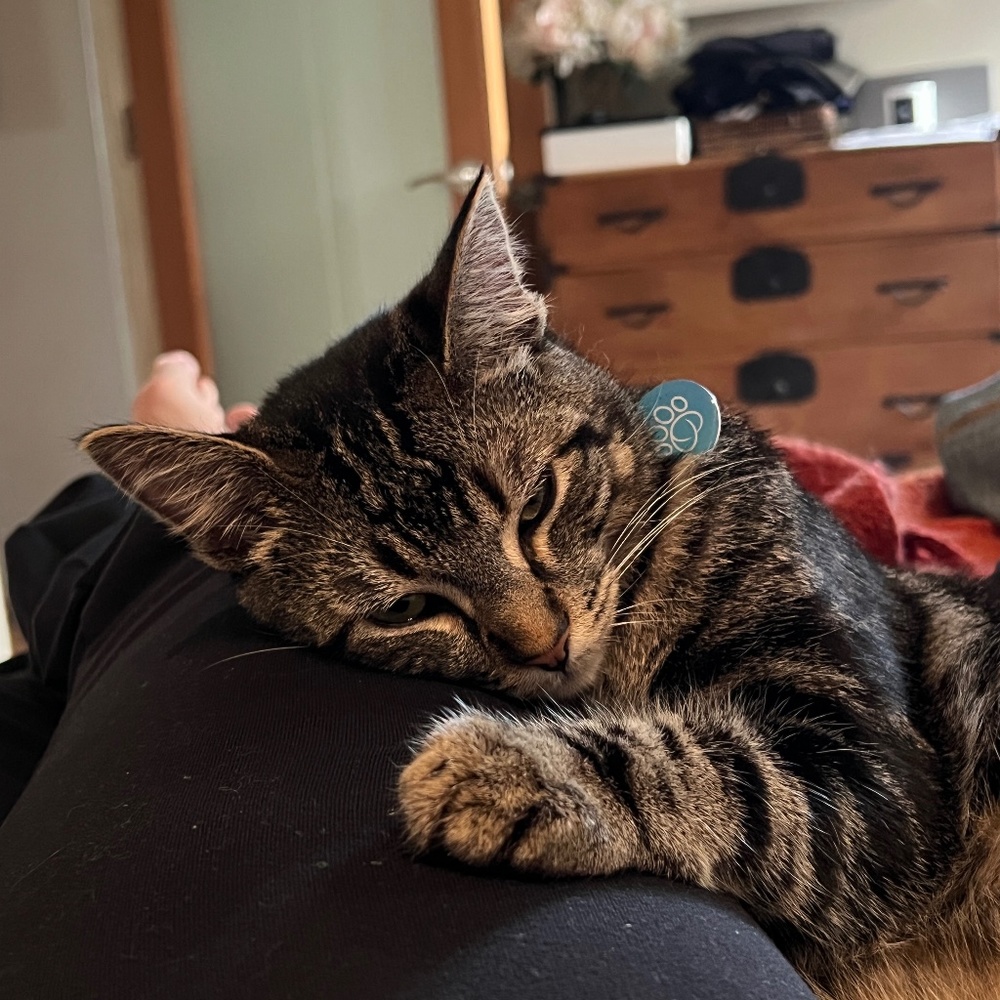 Meet your Posher, Melissa